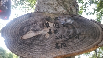 黄色韩漫