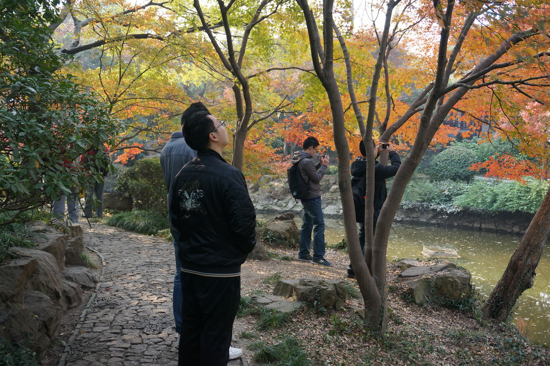 黄色韩漫